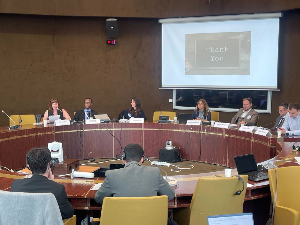Ella presenting amongst a circle of speakers in a conference room at the European Council.